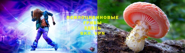 шишки Иннополис