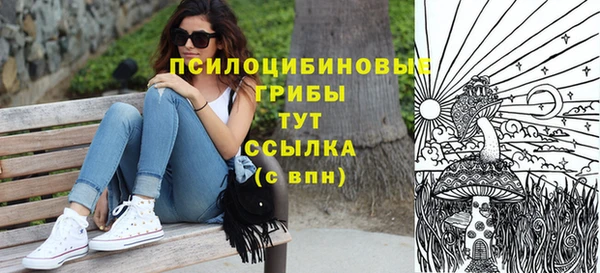 шишки Иннополис