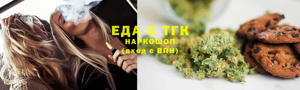 стаф Инта