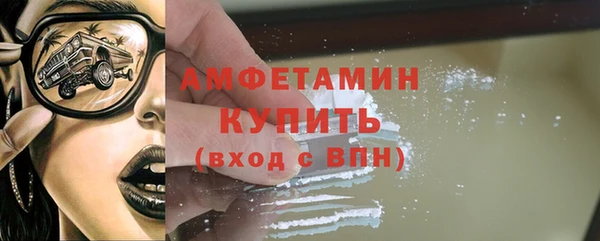 стаф Инта