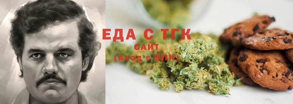 стаф Инта