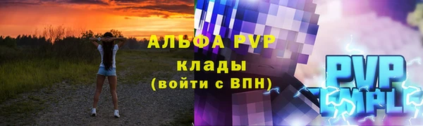 стаф Инта