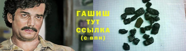 стаф Инта