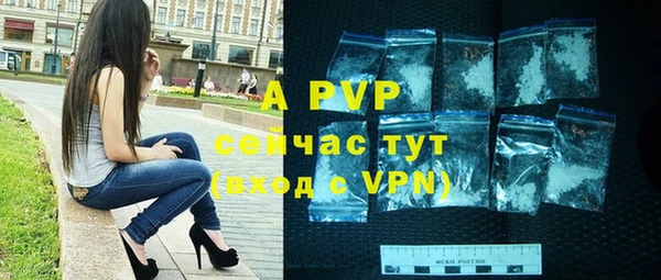 шишки Иннополис