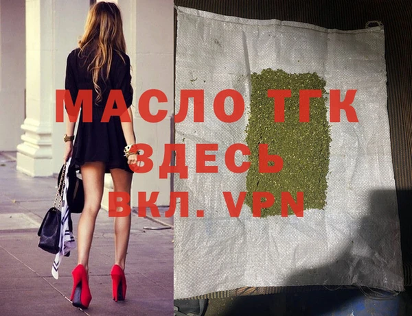 стаф Инта