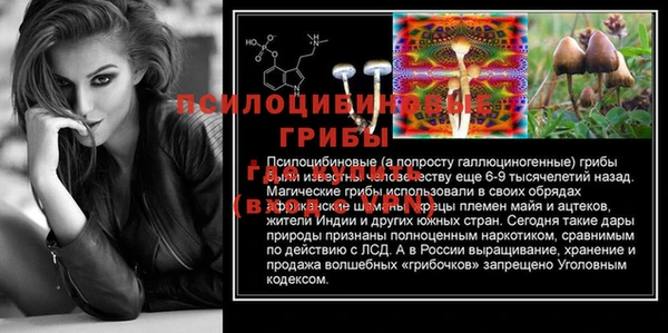 стаф Инта