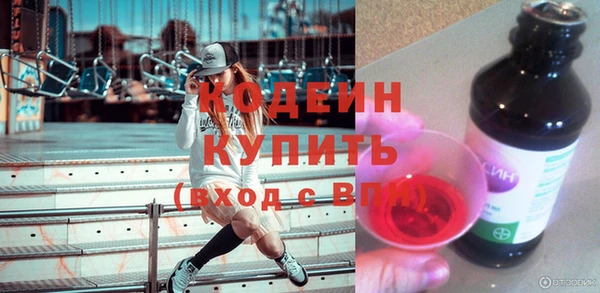 стаф Инта