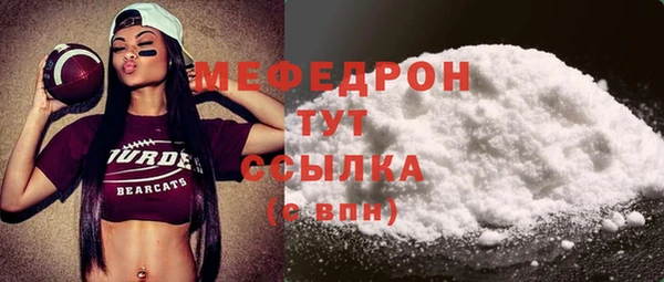 стаф Инта