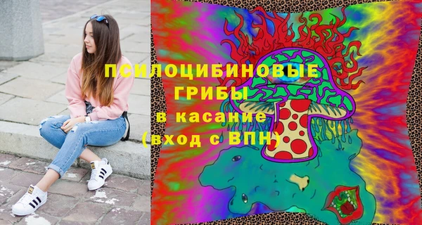 шишки Иннополис