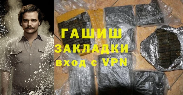 стаф Инта